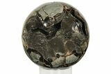 Polished, Septarian Geode Sphere - Madagascar #219112-2